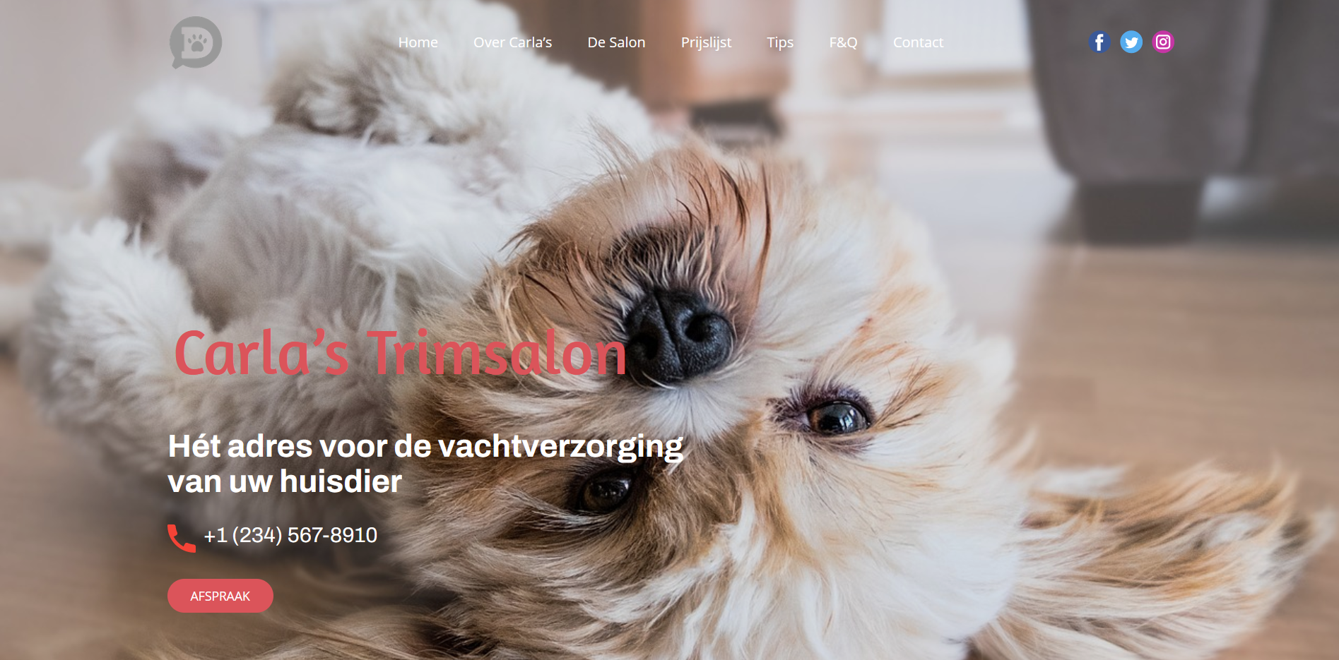 Pet salon